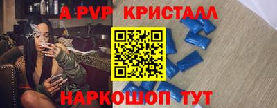 СК Новозыбков