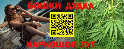 СК Новозыбков