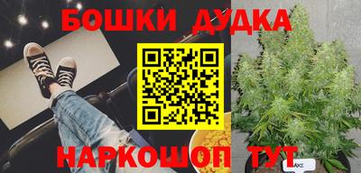 мдпв Новодвинск