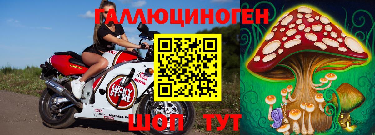Псилоцибиновые грибы Psilocybe Серов