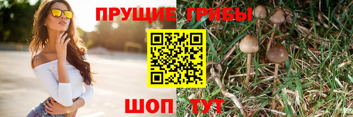 Псилоцибиновые грибы MAGIC MUSHROOMS  Вход с VPN  Серов 